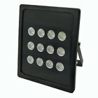 4894644324907 Unbranded Dc 12v 12-led