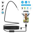 8t-otoscope-002 Cinsey Usb Endoscope In Type Borescope Inspection Camera 6165438048834