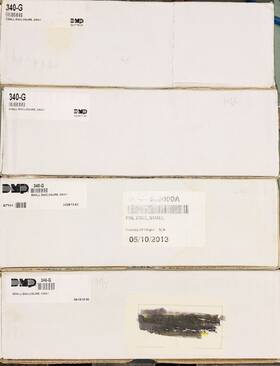 715-8 Dmp 340-g Lot Of 4 Small Enclosures Grey For Xt Series 714-8/16 715-8/16 - New
