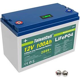 Lf4160 Talentcell Rechargeable 12v 100ah Lithium Iron Phosphate Lifepo4 Deep Cycle