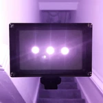 Ghost Light Infrared Ir Led Gopro Camera Hunting Paranormal Wide Night Vision. Fixed Price $53.81.