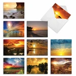 The Best Company 10 Assorted Nature Thank You Notecards Box Set 4 5.12.... Fixed Price $21.84.