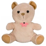 Kjb Security Products Xtreme Life SC70024K Teddy Bear With Indoor Covert Came. Fixed Price $313.34.